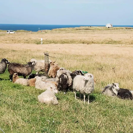 4 Person In Lemvig-by Traum * Trans