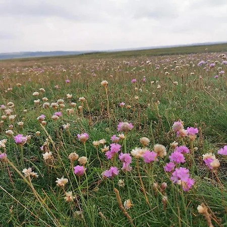 4 Person In Lemvig-by Traum *